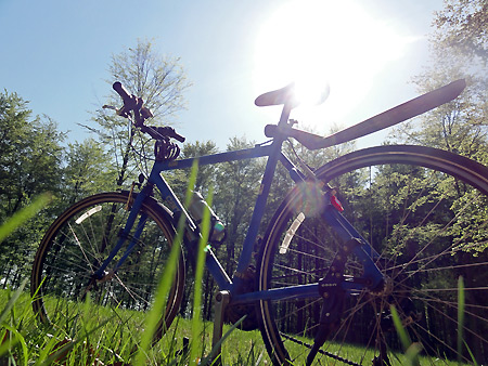 Mit dem Bike in der ursprünglichen Natur Schleswig-Holsteins