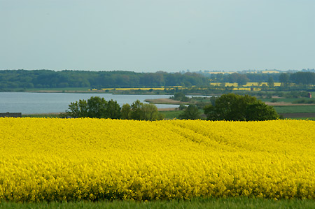 Naturschutzgebiet Schwansener See